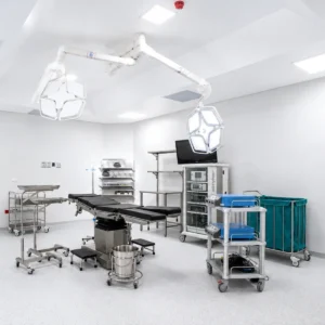 Hospital del día